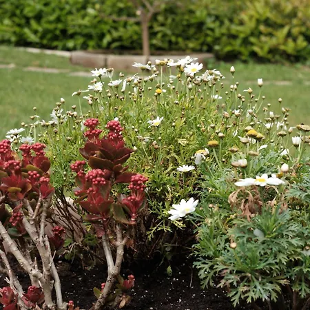 La Coccinella 別荘