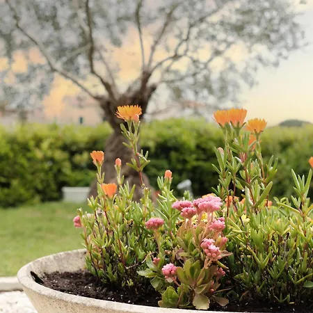 La Coccinella 別荘 *