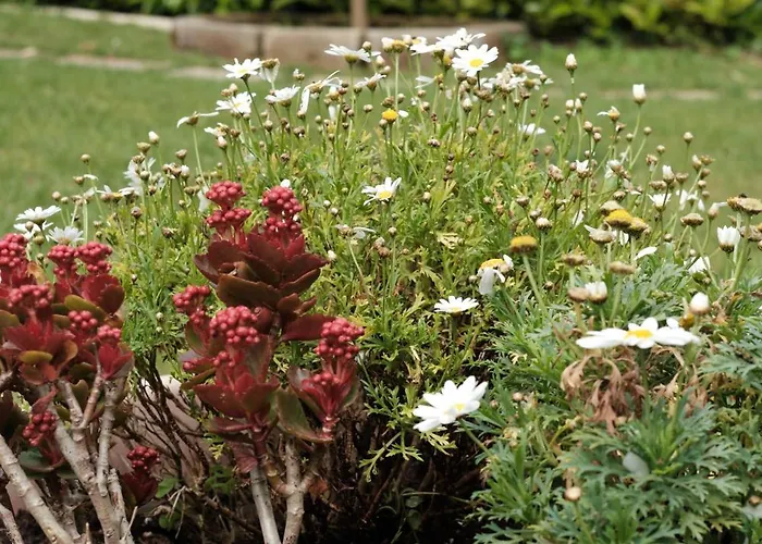 La Coccinella Casa vacanze