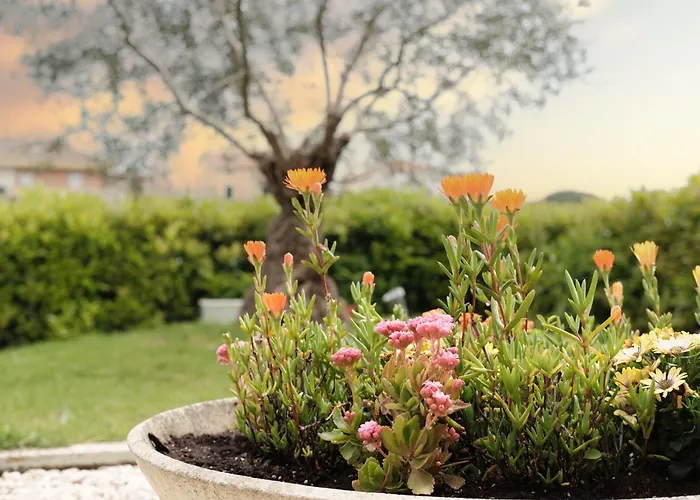 La Coccinella Casa vacanze *